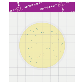 Listeria MicroFast