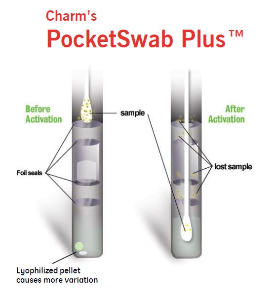 Scigiene Corporation