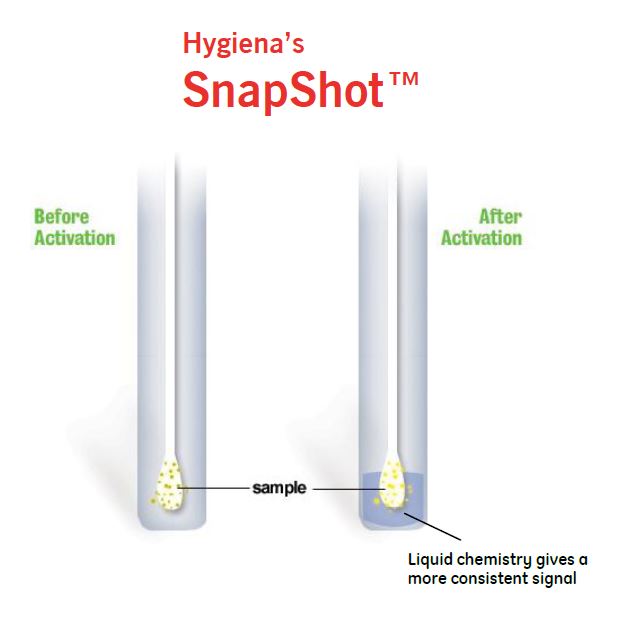 Scigiene Corporation